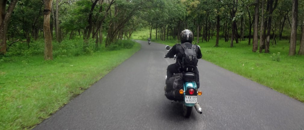 Mudumulalai_Wildlife_Sanctuary_A_Ride_Through_Wilderness